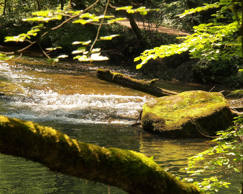 Fotografen in Action 067